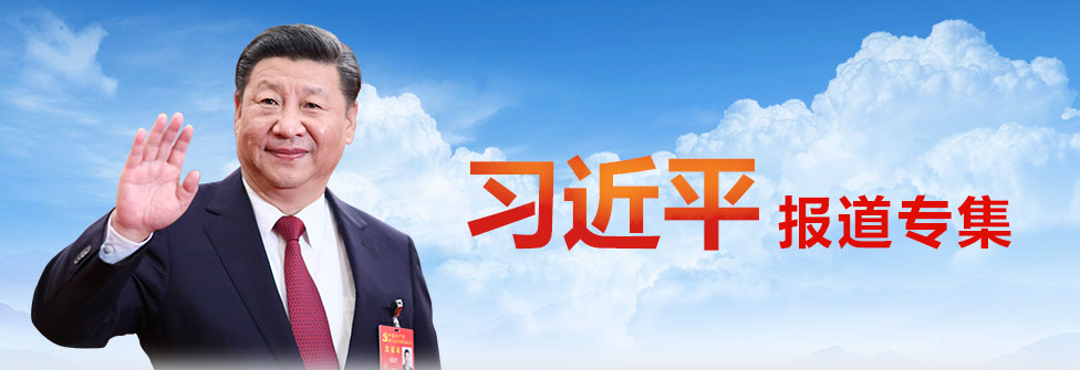 習近平主持召開(kāi)扎實(shí)推進(jìn)長(cháng)三角一體化發(fā)展座談會(huì )并發(fā)表重要講話(huà)
